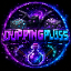 duppingpluss logo